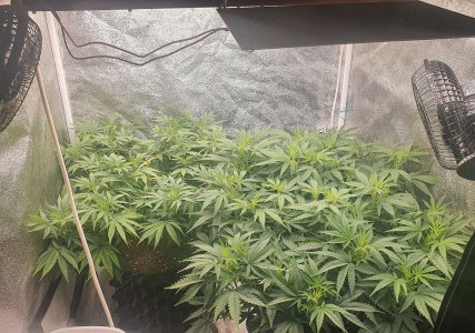 20221022_222206.jpg 20221022_222206.jpg