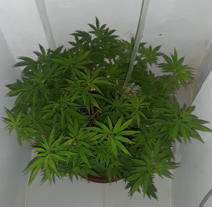 20221025_211220.jpg 20221025_211220.jpg