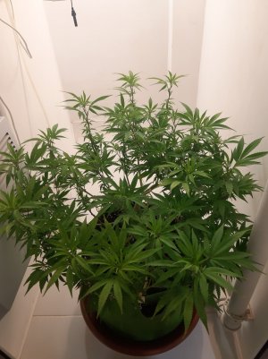 20221025_211132.jpg 20221025_211132.jpg