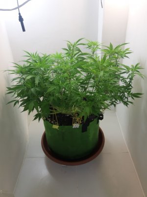 20221025_211316.jpg 20221025_211316.jpg