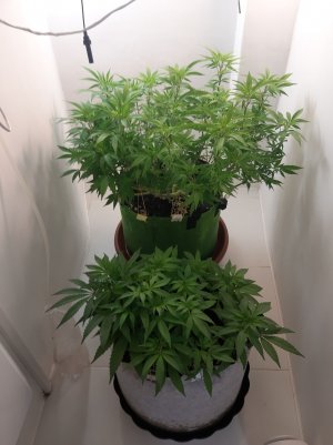 20221025_211009.jpg 20221025_211009.jpg