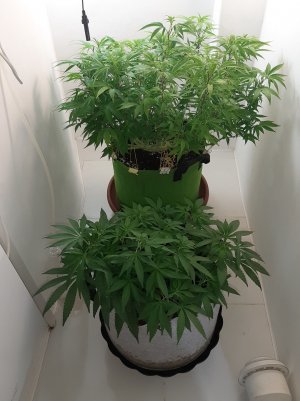 20221026_083245.jpg 20221026_083245.jpg