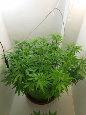 20221026_084031.jpg 20221026_084031.jpg