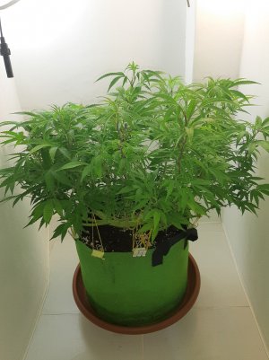 20221026_084018.jpg 20221026_084018.jpg