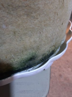 20221026_091001.jpg 20221026_091001.jpg