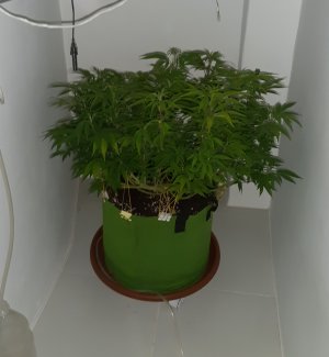 20221026_114626.jpg 20221026_114626.jpg