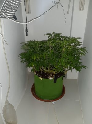 20221026_114537.jpg 20221026_114537.jpg