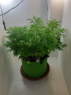 20221026_121552.jpg 20221026_121552.jpg