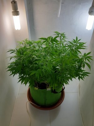 20221026_122203.jpg 20221026_122203.jpg