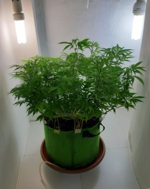 20221026_122149.jpg 20221026_122149.jpg