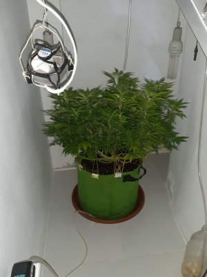 20221027_083509.jpg 20221027_083509.jpg