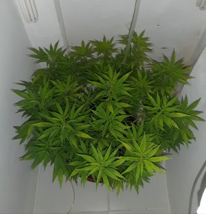 20221027_083438.jpg 20221027_083438.jpg