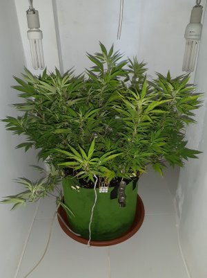 20221027_090150.jpg 20221027_090150.jpg