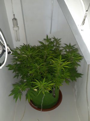 20221027_101201.jpg 20221027_101201.jpg