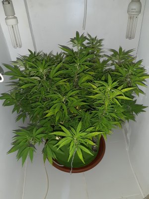 20221027_101625.jpg 20221027_101625.jpg