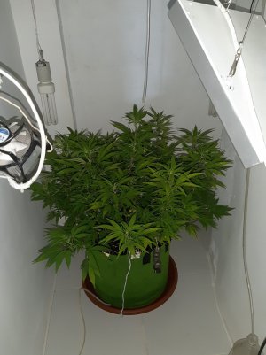 20221027_101649.jpg 20221027_101649.jpg