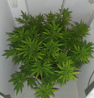 20221027_110428.jpg 20221027_110428.jpg