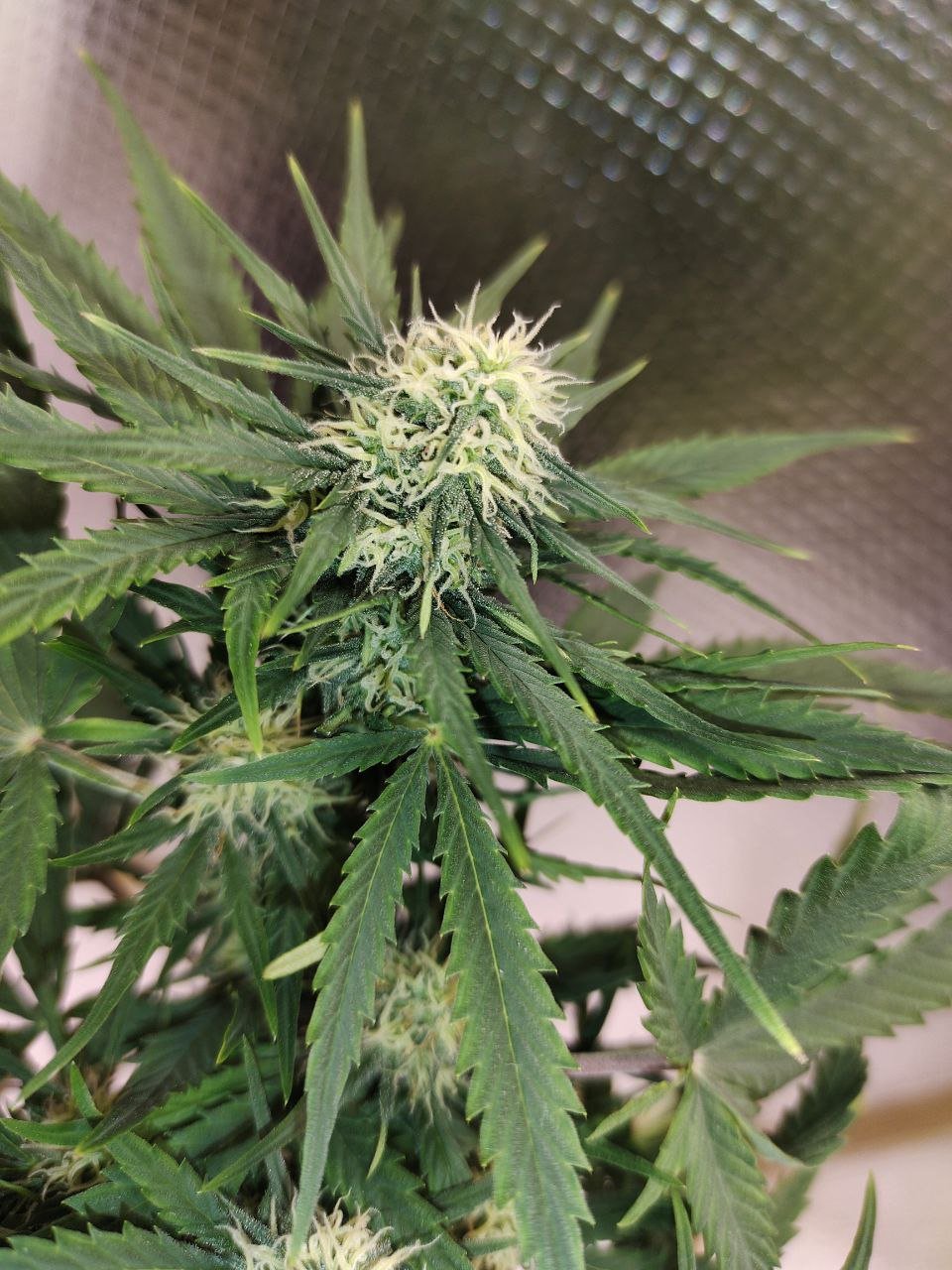 19.10-1.jpg 19.10-1.jpg