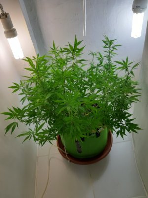 20221028_090645.jpg 20221028_090645.jpg