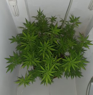 20221028_091219.jpg 20221028_091219.jpg