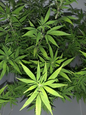 20221028_095440.jpg 20221028_095440.jpg