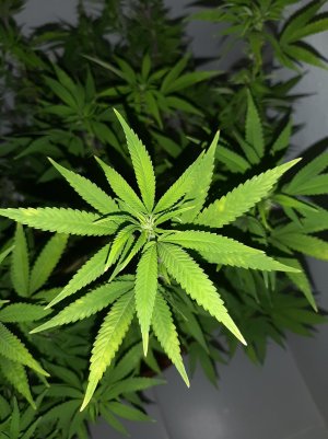 20221028_095428.jpg 20221028_095428.jpg