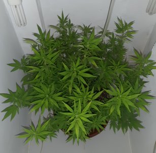 20221028_095532.jpg 20221028_095532.jpg