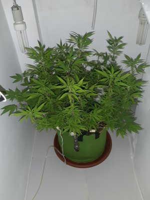 20221028_095549.jpg 20221028_095549.jpg