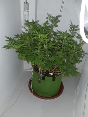 20221028_095455.jpg 20221028_095455.jpg