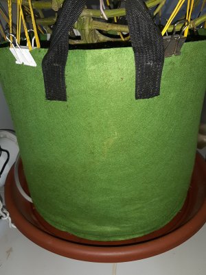 20221028_095415.jpg 20221028_095415.jpg