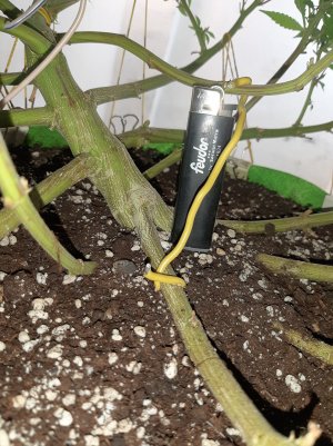 20221028_095403.jpg 20221028_095403.jpg