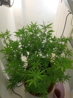 20221028_095349.jpg 20221028_095349.jpg