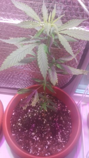 6K7BjpYJM_U.jpg 6K7BjpYJM_U.jpg