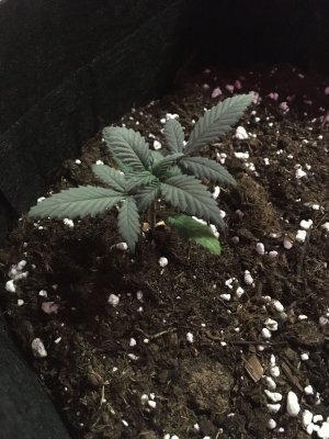 imgonline-com-ua-dexif5bQztFOTuwgf (1).jpg