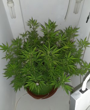 20221029_125759.jpg 20221029_125759.jpg