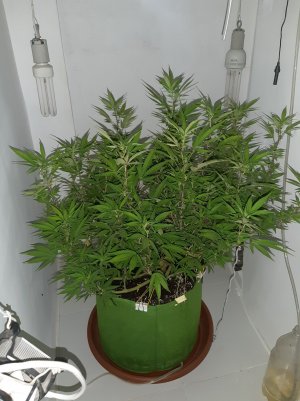 20221029_125721.jpg 20221029_125721.jpg