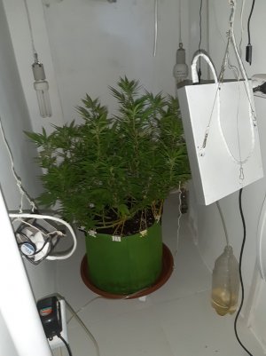 20221029_125707.jpg 20221029_125707.jpg