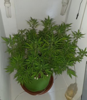 20221029_142202.jpg 20221029_142202.jpg