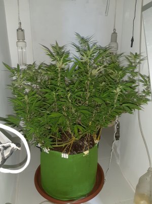 20221029_142251.jpg 20221029_142251.jpg