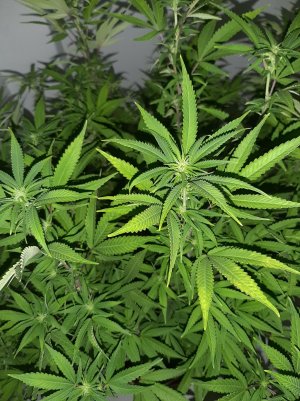 20221029_142327.jpg 20221029_142327.jpg