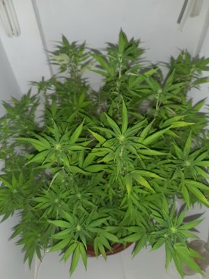 20221029_142339.jpg 20221029_142339.jpg