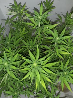 20221029_142314.jpg 20221029_142314.jpg