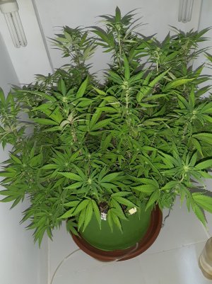 20221029_221700.jpg 20221029_221700.jpg