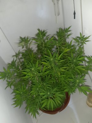 20221029_221648.jpg 20221029_221648.jpg