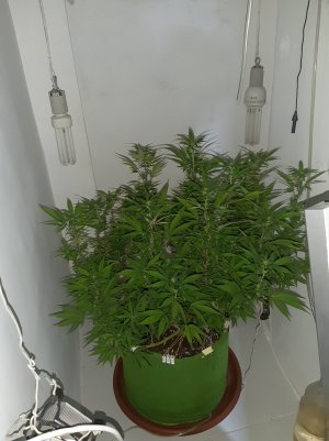 20221029_221636.jpg 20221029_221636.jpg