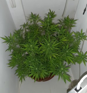 20221030_085512.jpg 20221030_085512.jpg