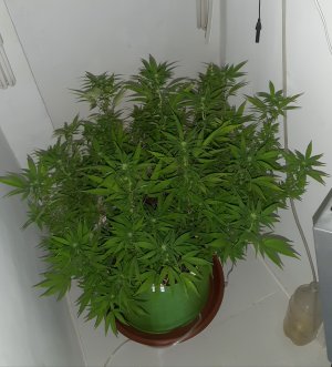 20221030_085614.jpg 20221030_085614.jpg