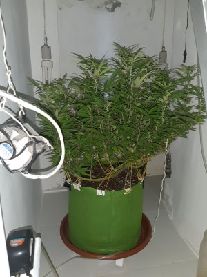 20221030_085630.jpg 20221030_085630.jpg