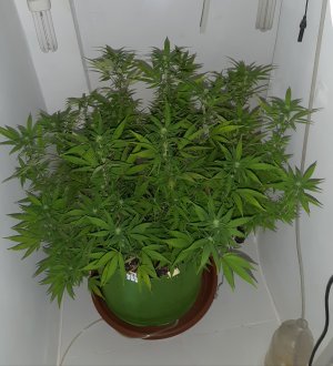 20221030_090104.jpg 20221030_090104.jpg