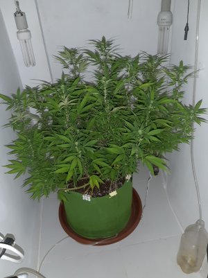 20221030_090051.jpg 20221030_090051.jpg